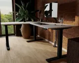 Ergonomiczne ustawienie biurka względem okna zapewnia naturalne światło. Duża roślina dodaje życia.