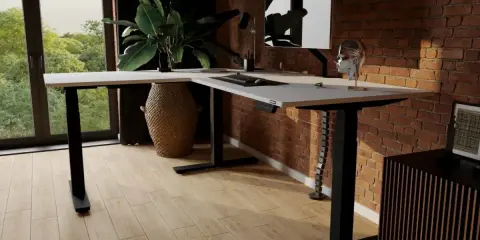Ergonomiczne ustawienie biurka względem okna zapewnia naturalne światło. Duża roślina dodaje życia.