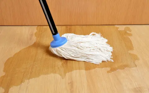 Mop na drewnianej podłodze, gdzie woda pod panelami tworzy kałuże.